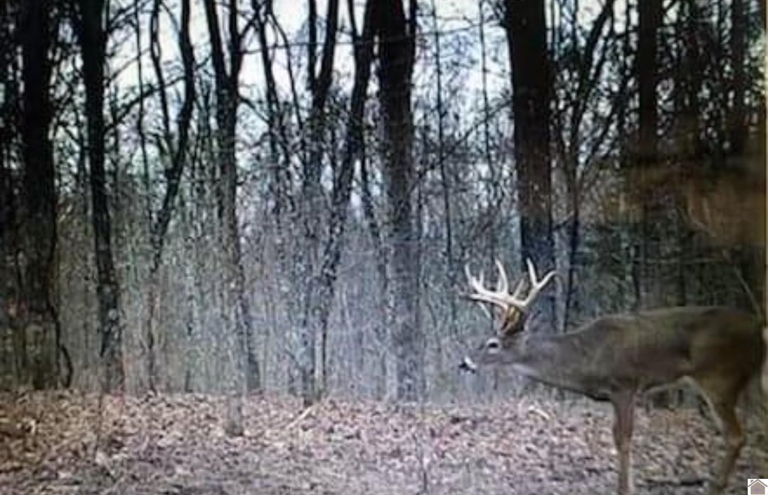 Lots And Land New Concord In New Concord, Kentucky, United States For