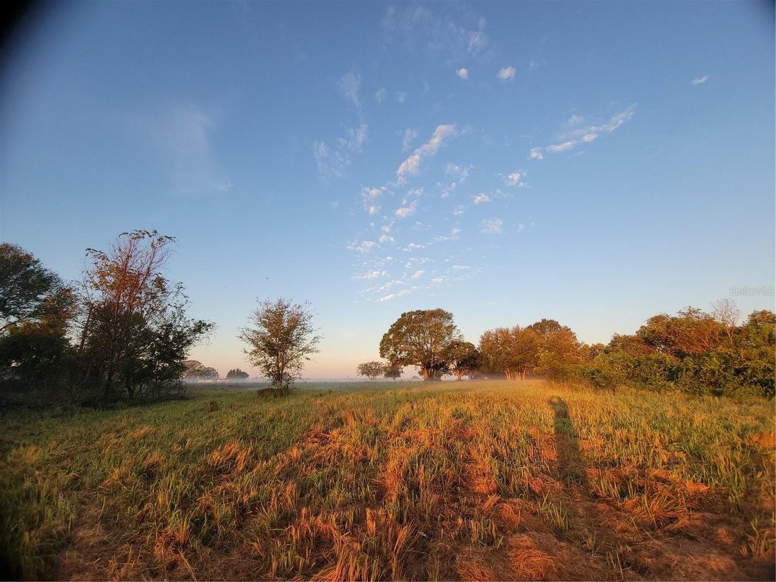 Land in Lake Wales, Florida, United States 3 - 12386037