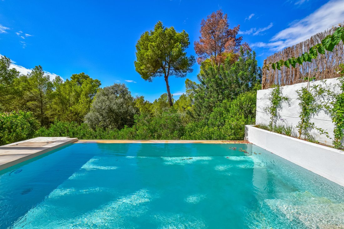 Sant Antoni De Portmany Detached House In Spain For Sale (14833723)