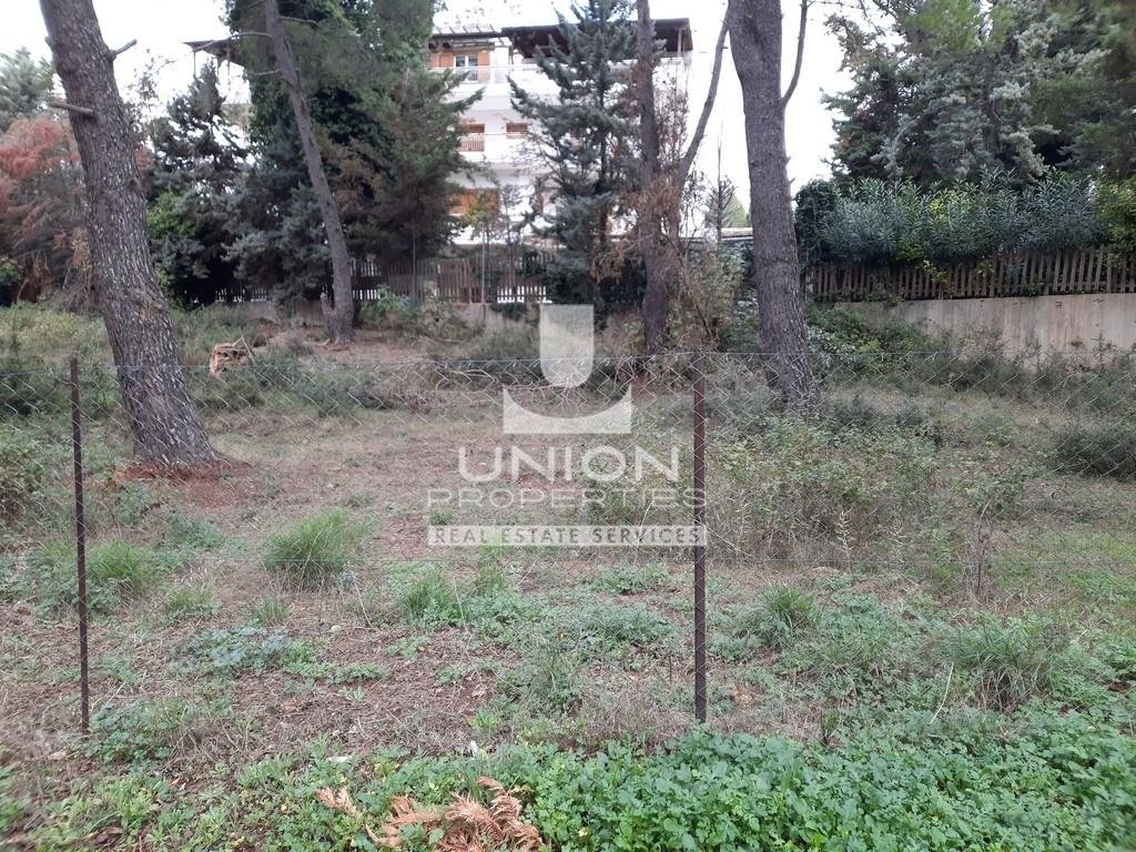 Land in Ekali, Attica, Greece 5 - 14836345