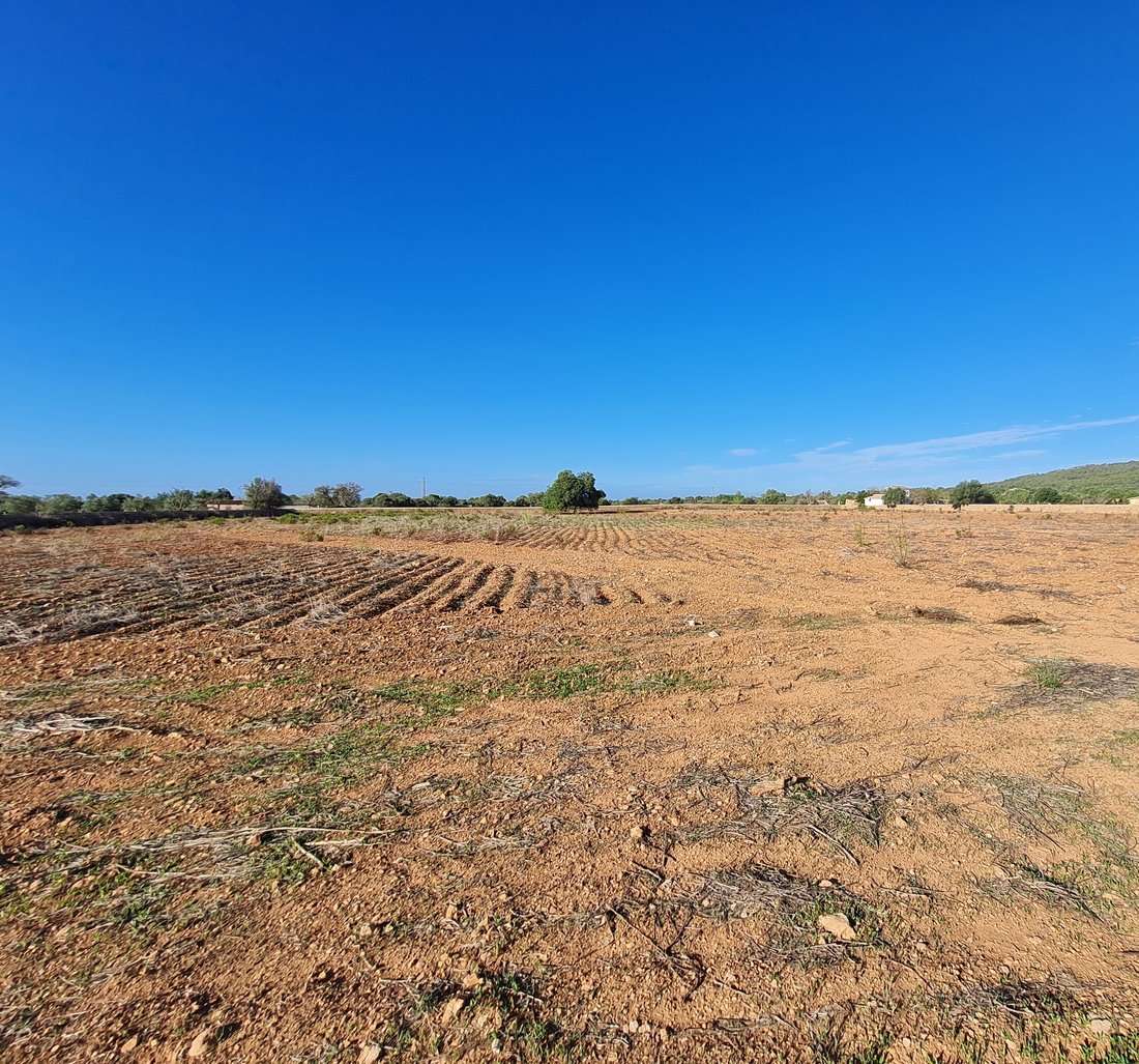 Llucmajor Land In Llucmajor, Balearic Islands, Spain For Sale (14841104)