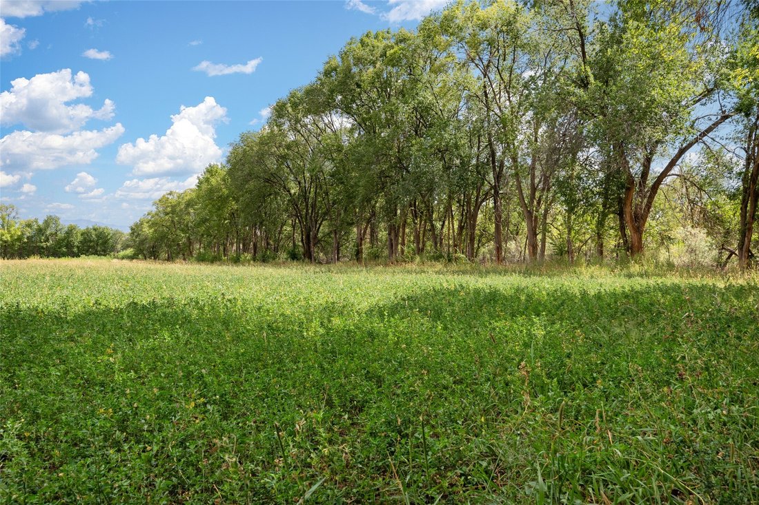 Farm Ranch in Corrales, New Mexico, United States 3 - 14836026
