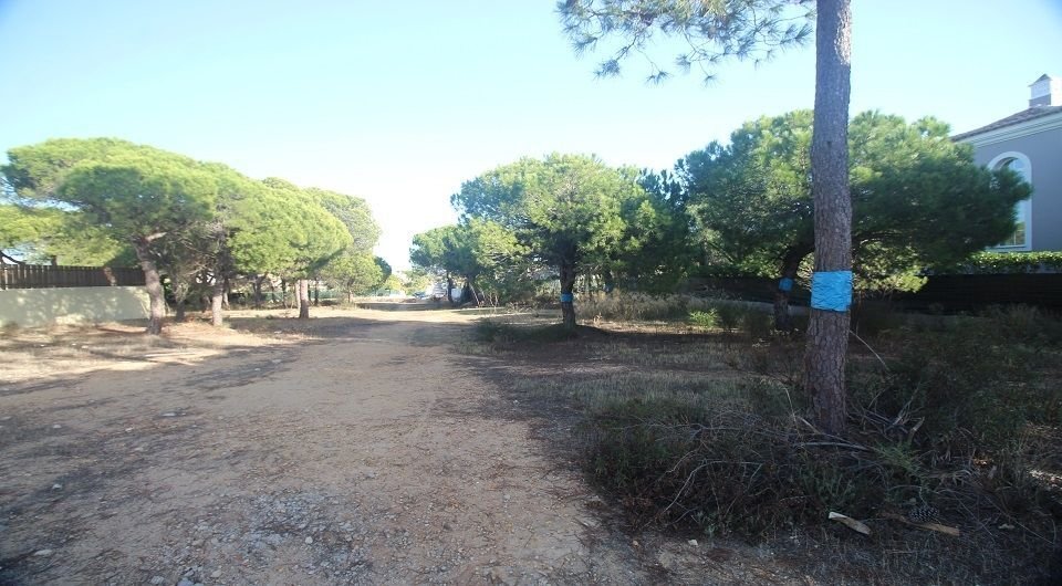 Land in Almancil, Algarve, Portugal 5 - 11192351