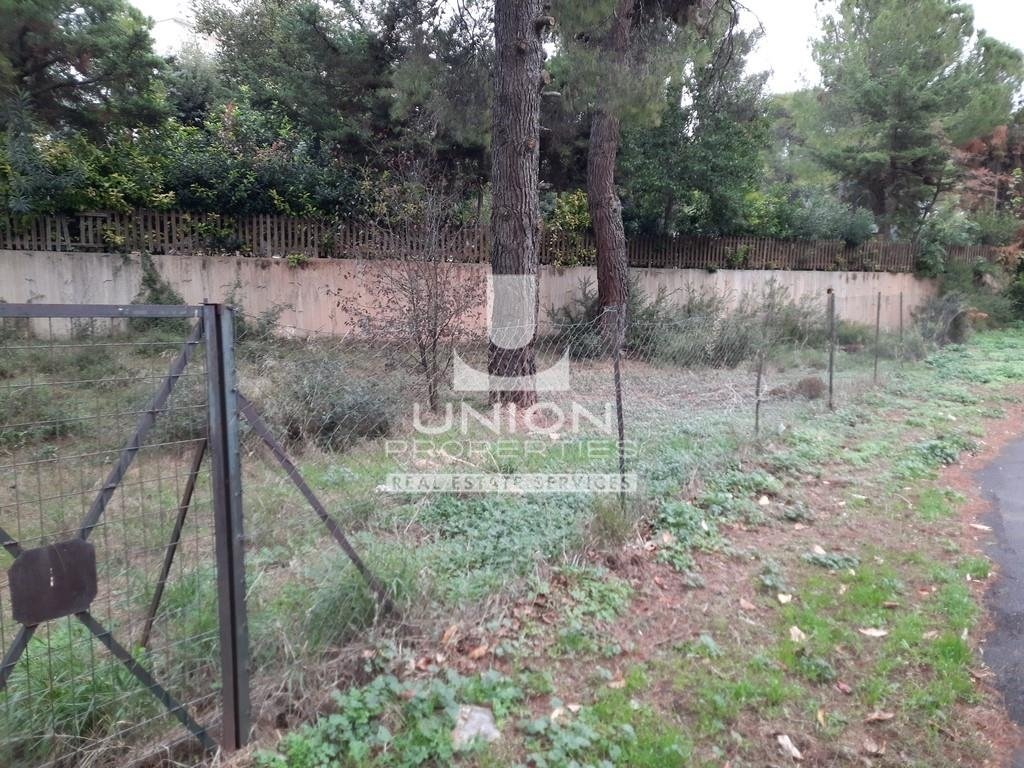 Land in Ekali, Attica, Greece 4 - 14836345