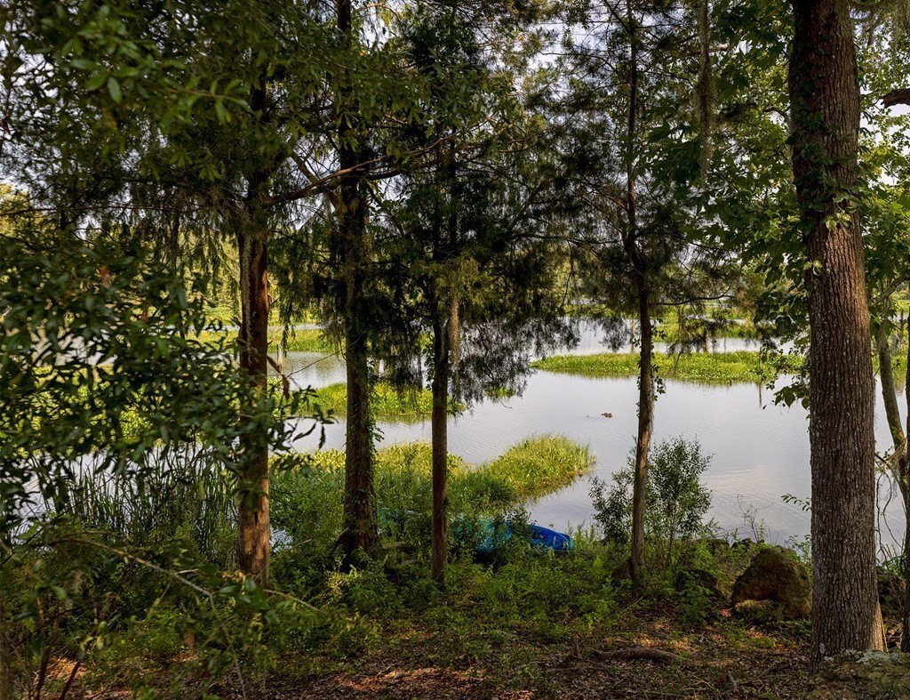 House in Brinson, Georgia, United States 4 - 14840032