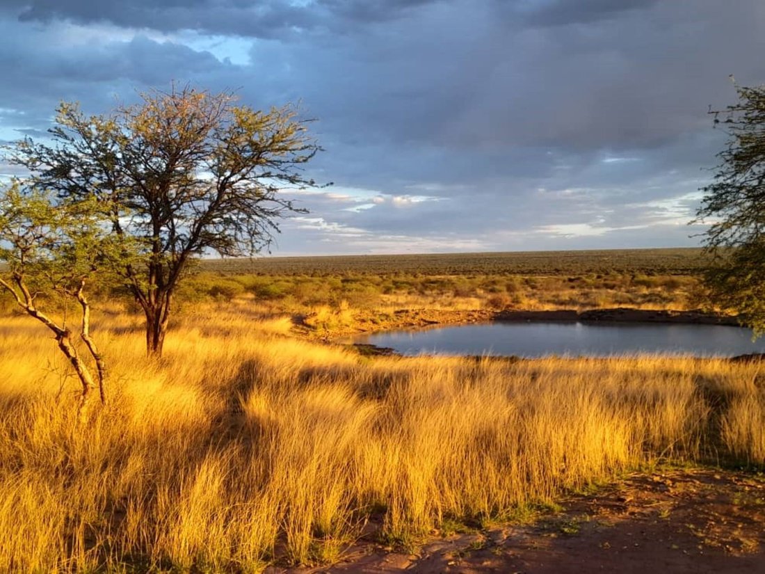 Farm Ranch in Gobabis, Omaheke Region, Namibia 1 - 14840812