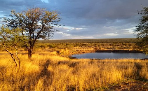 Azienda agricola a Gobabis, Regione di Omaheke, Namibia 1