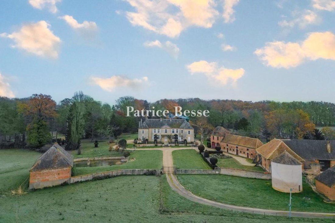 Whispers of Burgundy: A Hidden 18th-Century Château Veiled in Topiary and Time