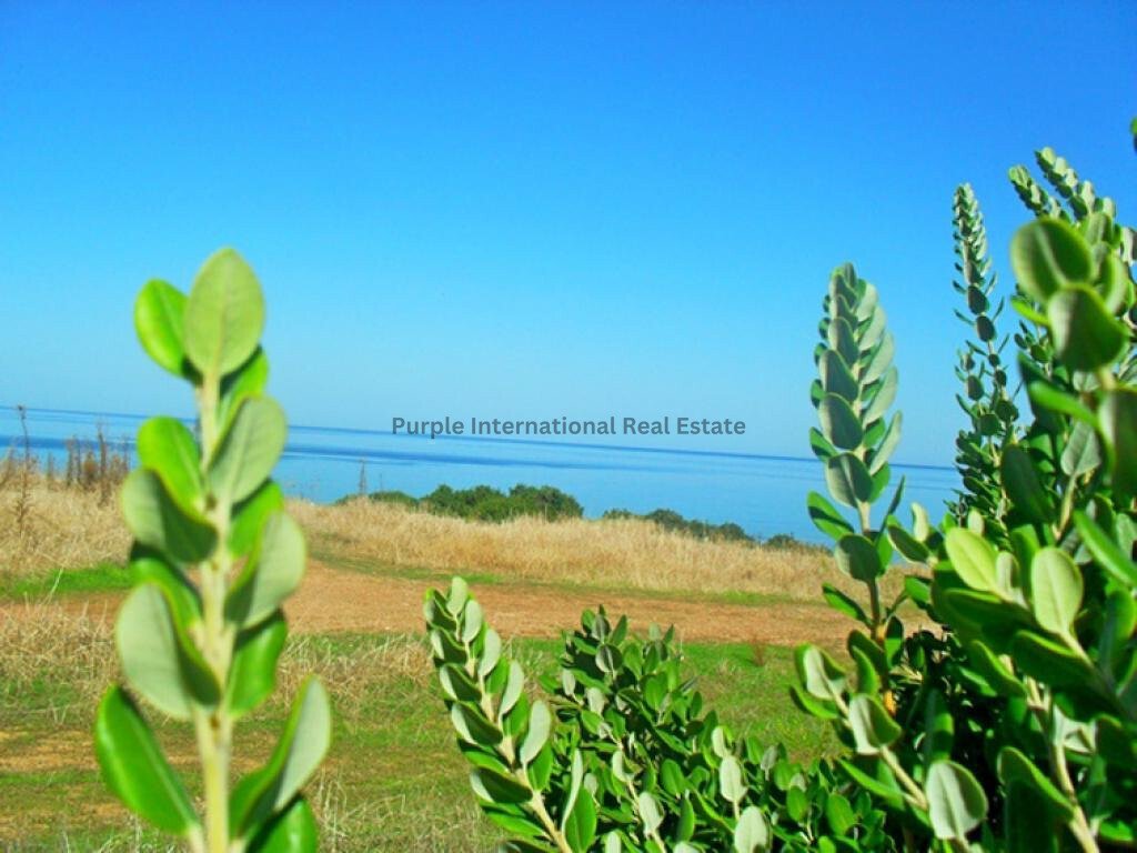 Villa in Neo Chorio, Paphos, Cyprus 5 - 14842308