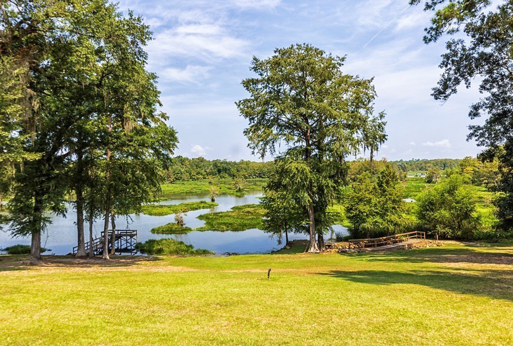 House in Brinson, Georgia, United States 3 - 14840032