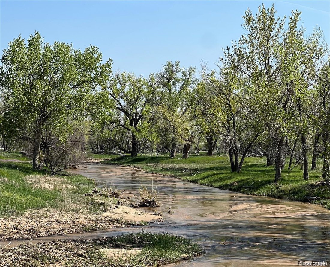 Vacant Land In Colorado, United States For Sale (14832774)