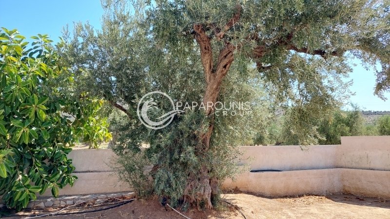 House in Koinotita Thermisias, Ermioni, Greece 5 - 14833471