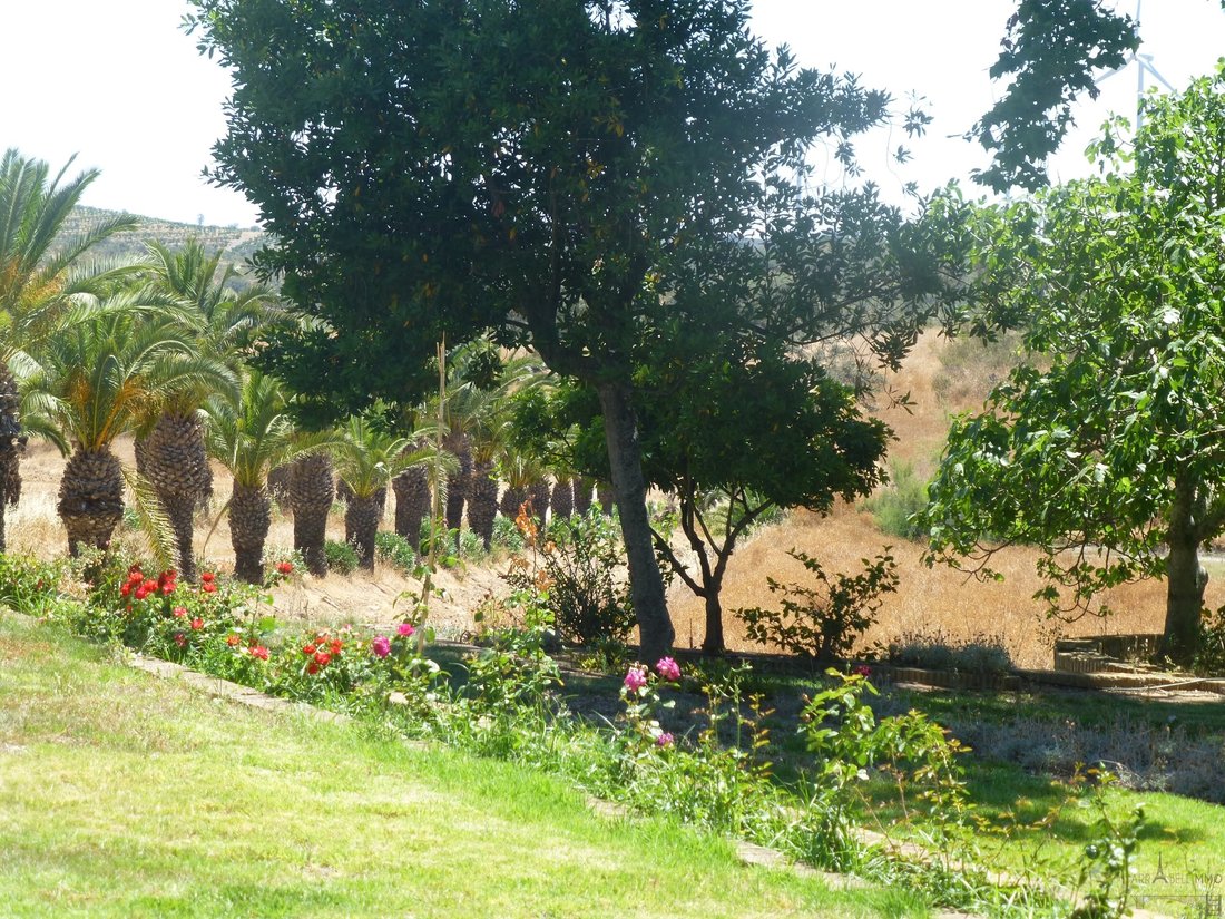 Farm Ranch in San Silvestre de Guzman, Andalusia, Spain 5 - 14357018