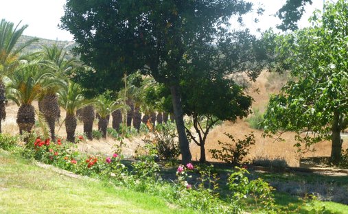 Corps de ferme à San Silvestre de Guzmán, Andalousie, Espagne 1