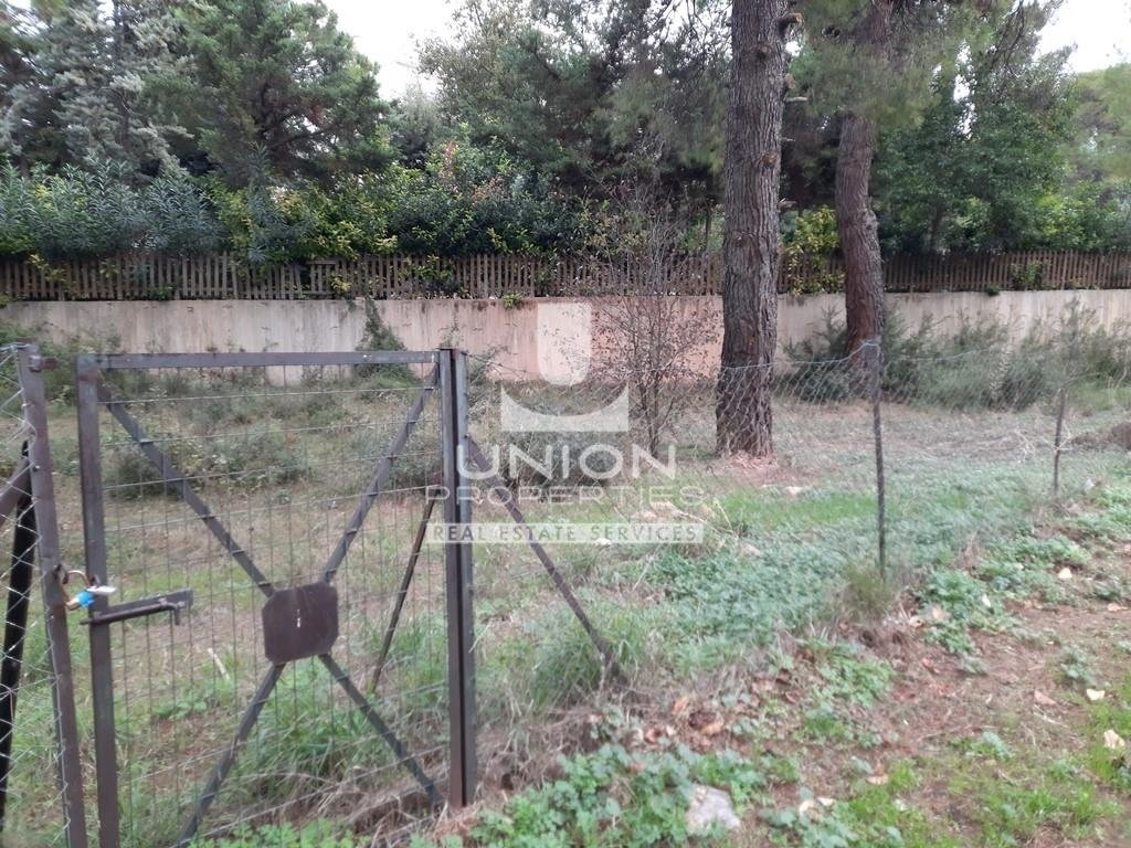 Land in Ekali, Attica, Greece 3 - 14836345