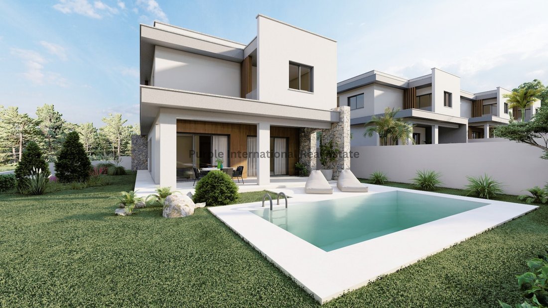 Villa in Souni-Zanakia, Limassol, Cyprus 1 - 14842988