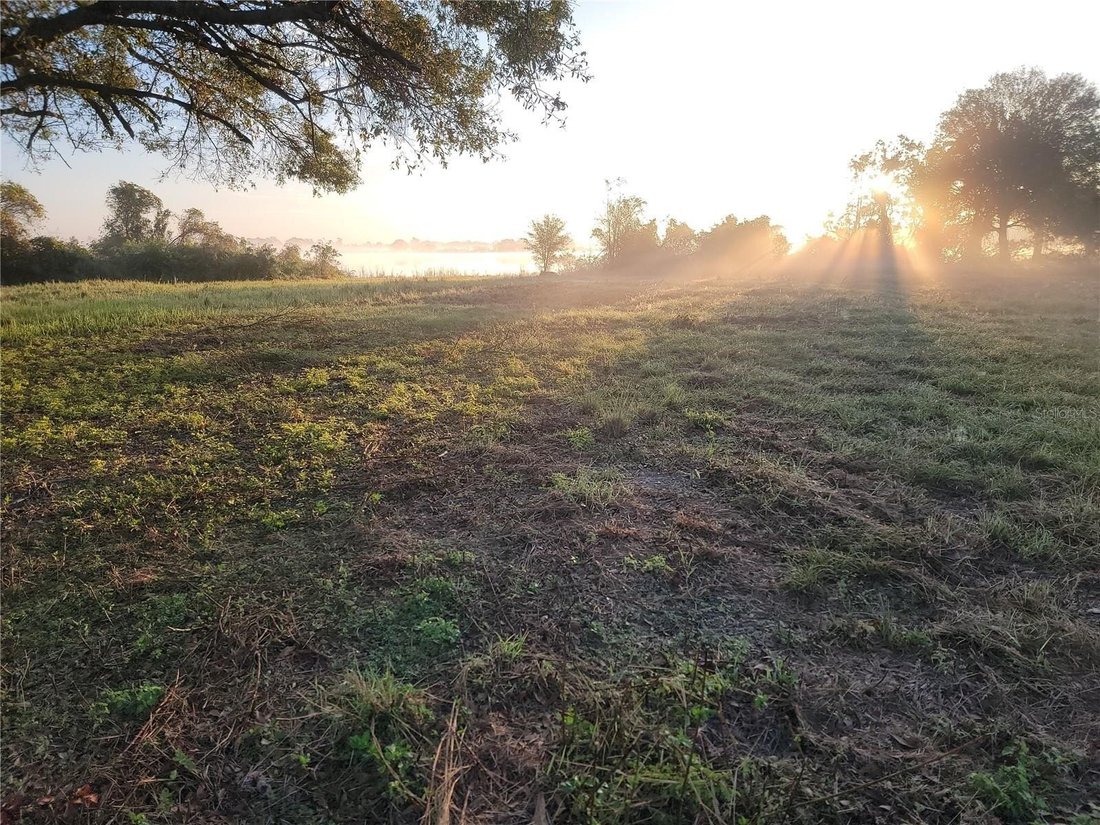 Land in Lake Wales, Florida, United States 2 - 12386037
