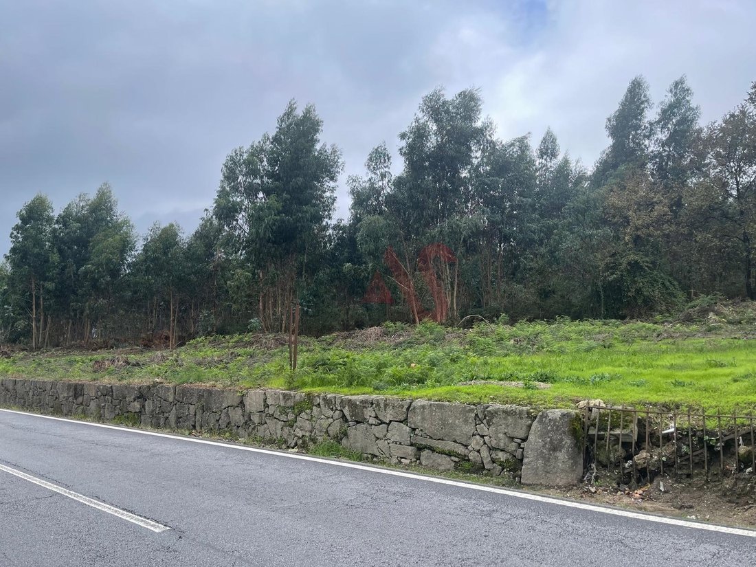 Land in Nespereira e Casais, Porto District, Portugal 2 - 14835301