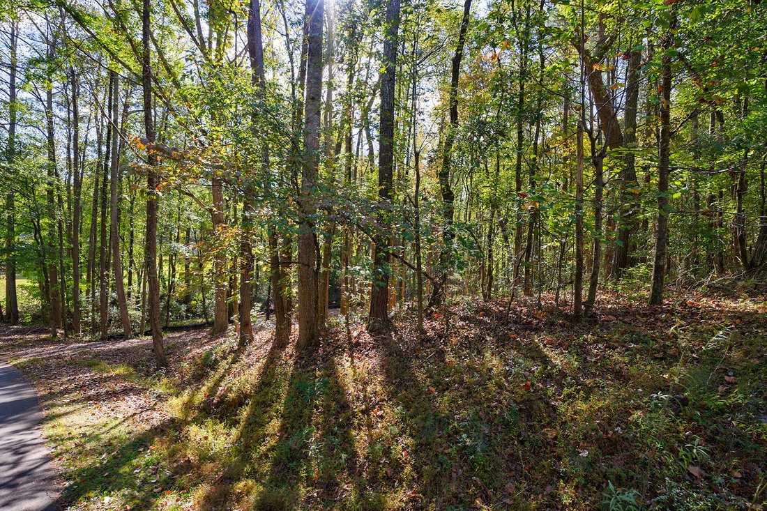 Privacy Galore On 7 Acres In The Sweet Spot In Milton, United