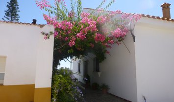 Corps de ferme à San Silvestre de Guzmán, Andalousie, Espagne 2