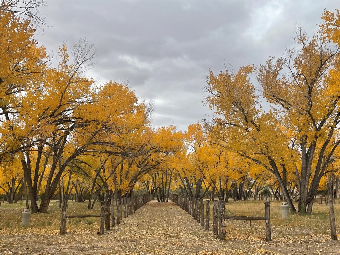 Farm And Agriculture Ojo Caliente In Medanales, New Mexico, United