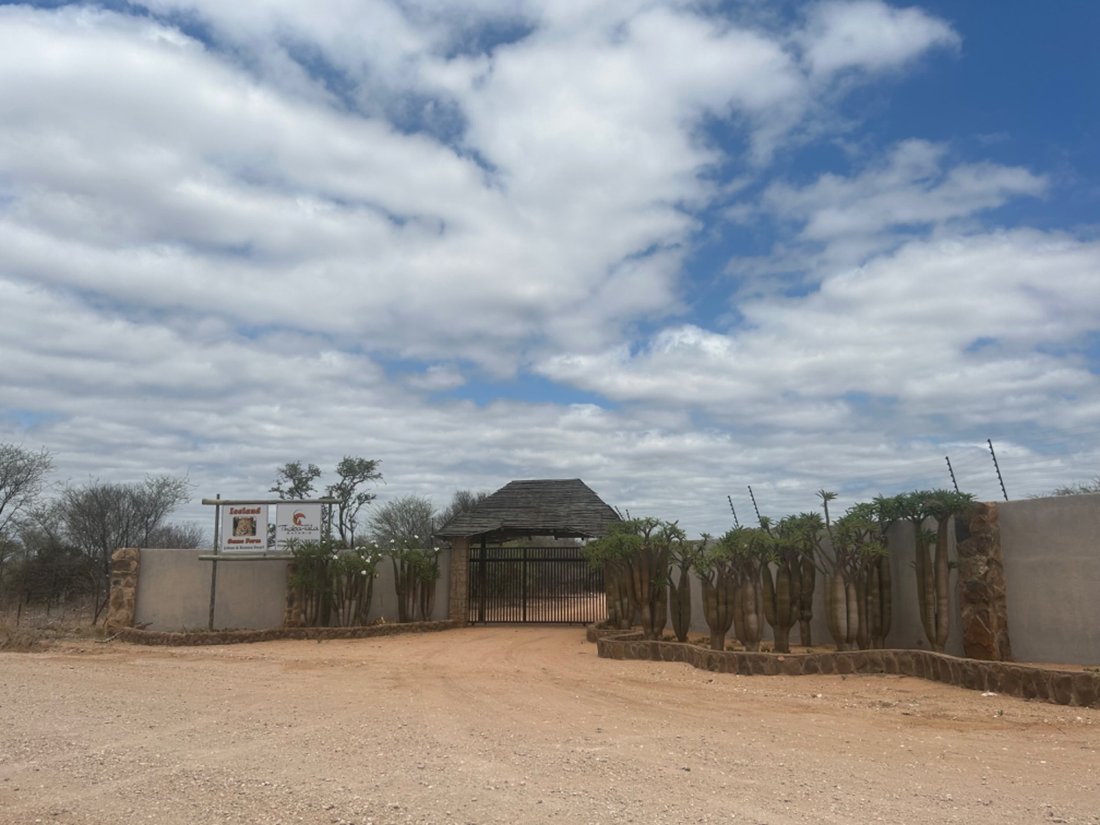 Game Farm For Sale In Alldays, Limpopo, South Africa For Sale (14840765)
