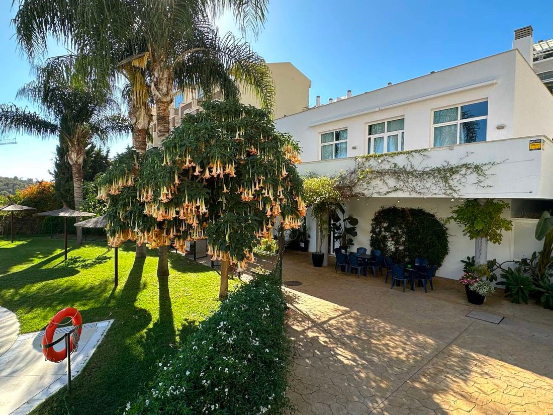 Chalet in Centro, Malaga, Spain 5 - 14842126