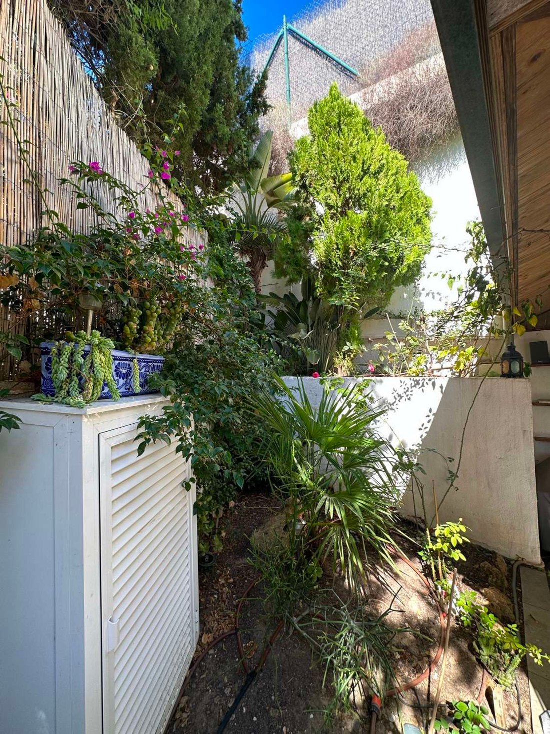 Chalet in Centro, Malaga, Spain 3 - 14842126
