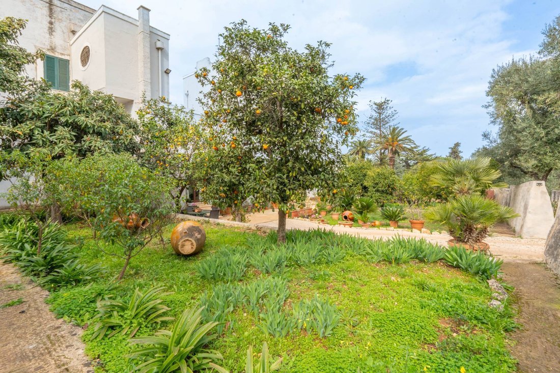 Country House in Contrada Guardariello-Giovanni Fasano, Ostuni, Apulia 5 - 14834420