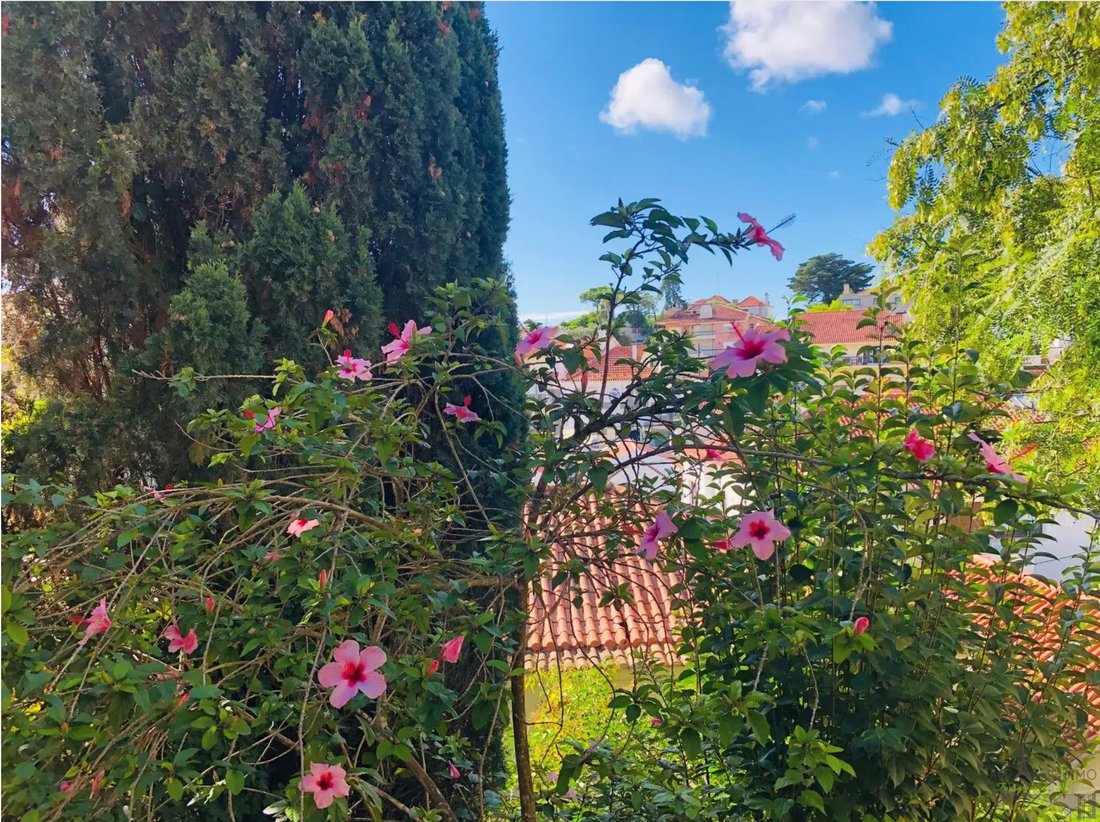Apartment in Estoril, Cascais e Estoril, Lisbon 1 - 14771256