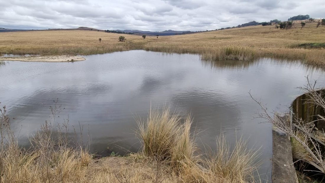 Farm Ranch in eManzana, Mpumalanga, South Africa 3 - 14841002