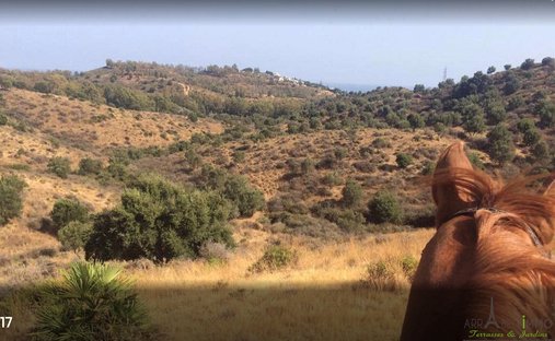 Farm Ranch in San Silvestre de Guzmán, Andalusien, Spanien 1