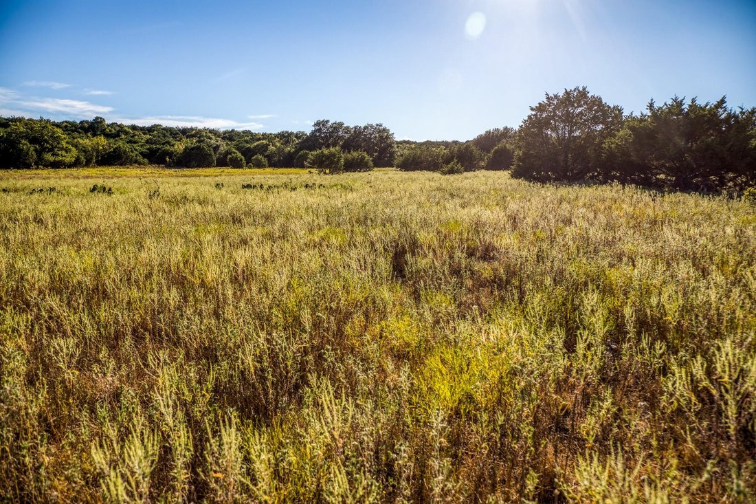 Farm/Ranch Lometa In Lometa, Texas, United States For Sale (14840351)
