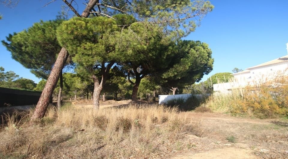 Land in Almancil, Algarve, Portugal 4 - 11192352