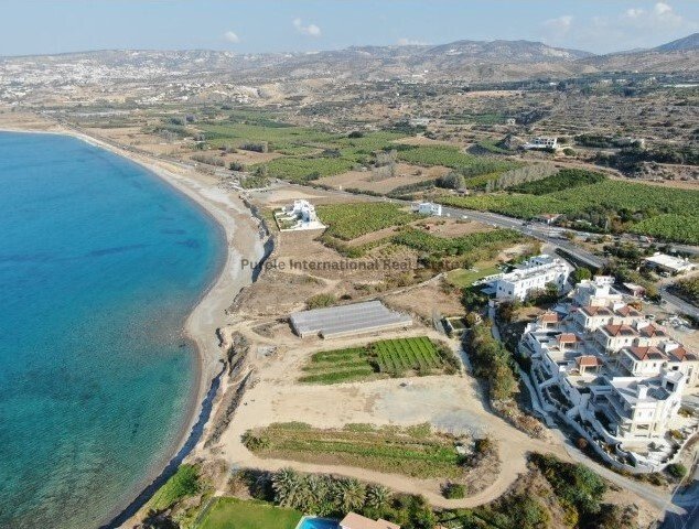 Luxury 7 Bedroom Beach Front Villa In Kissonerga In Kissonerga, Paphos ...