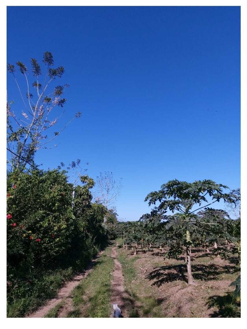 Finca à La Fortuna, Alajuela, Costa Rica 2 - 14844411