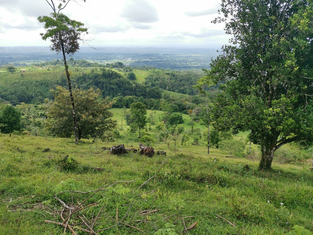 Estate For Sale In San Ramon, 12 In La Fortuna, Alajuela Province