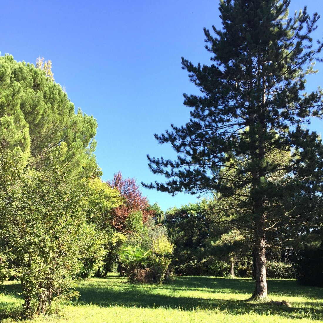 Superbe Propriete + 2 Logements In Mollégès, Provence Alpes Côte D'azur