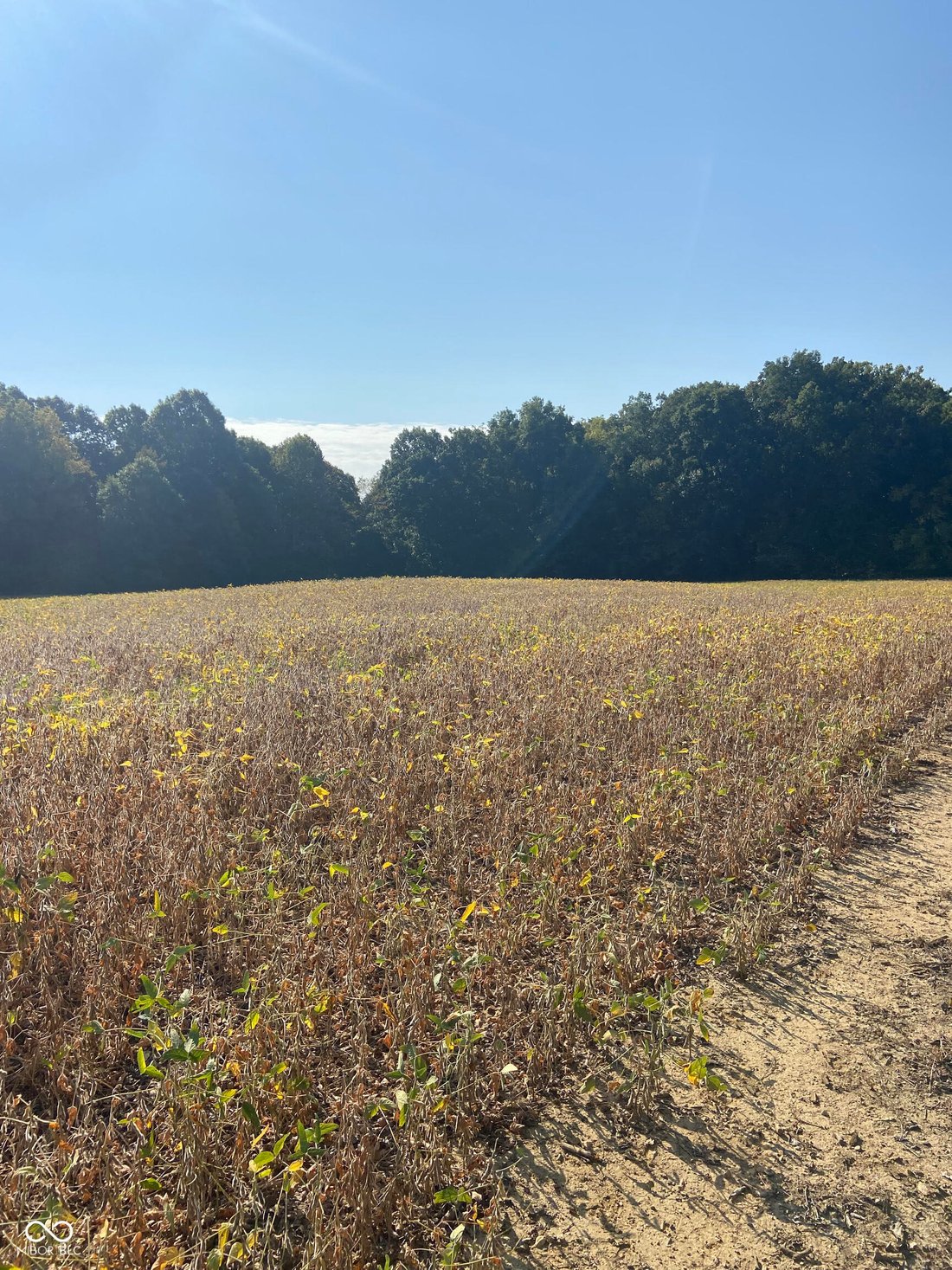 Farm And Agriculture Trafalgar In Trafalgar, Indiana, United States For