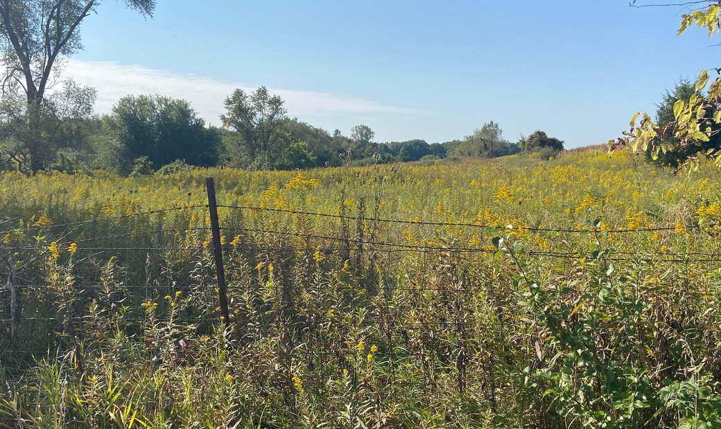 Farm And Agriculture Trafalgar In Trafalgar, Indiana, United States For