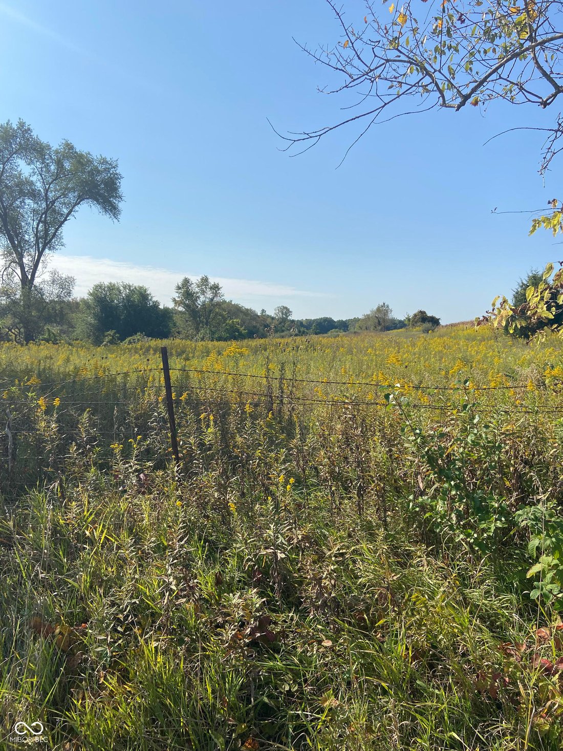 Farm And Agriculture Trafalgar In Trafalgar, Indiana, United States For