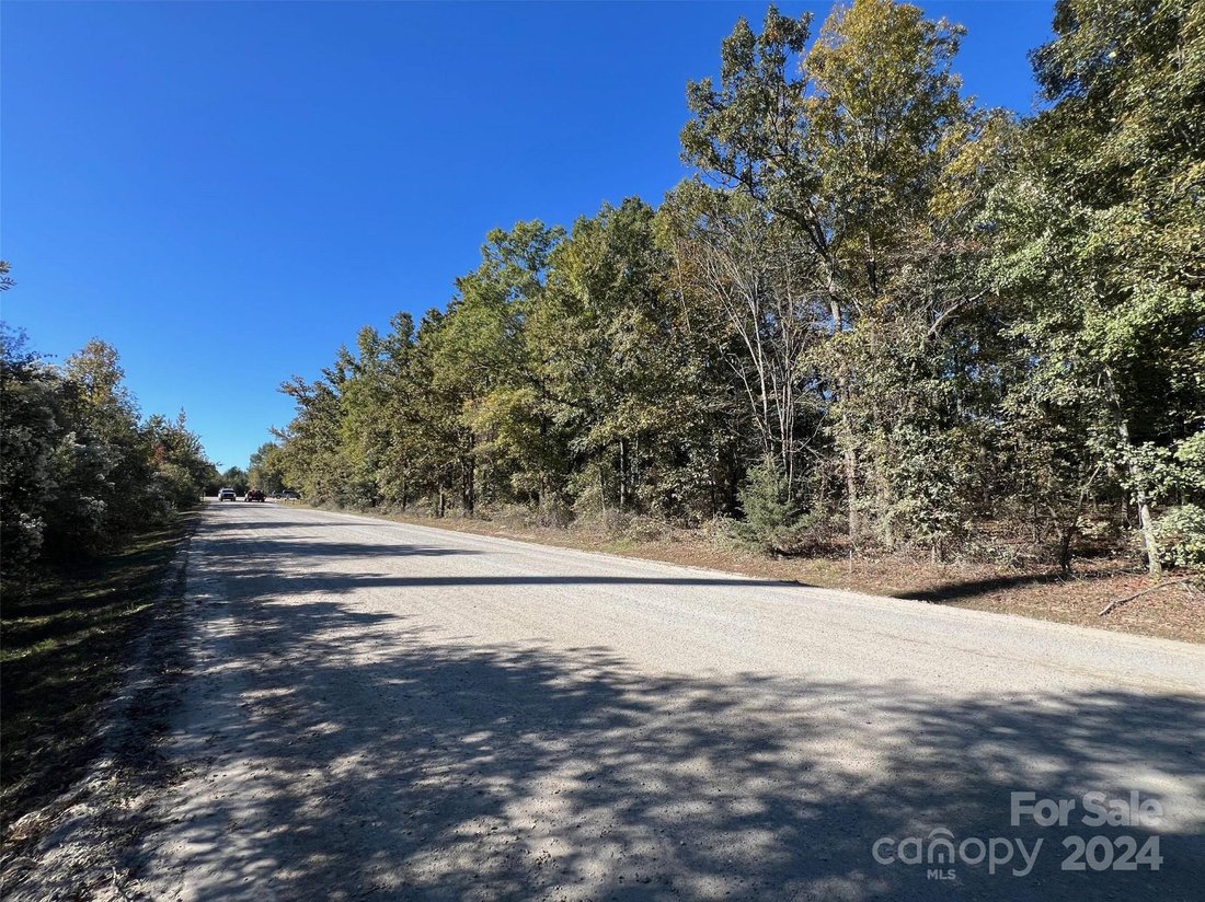 Vacant Land In Fairview, North Carolina, United States For Sale (14847865)