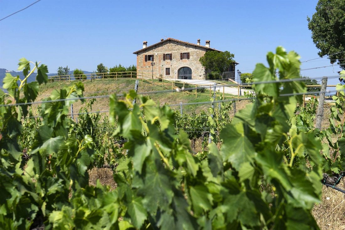 Villa in San Giovanni Valdarno, Tuscany, Italy 5 - 14848046