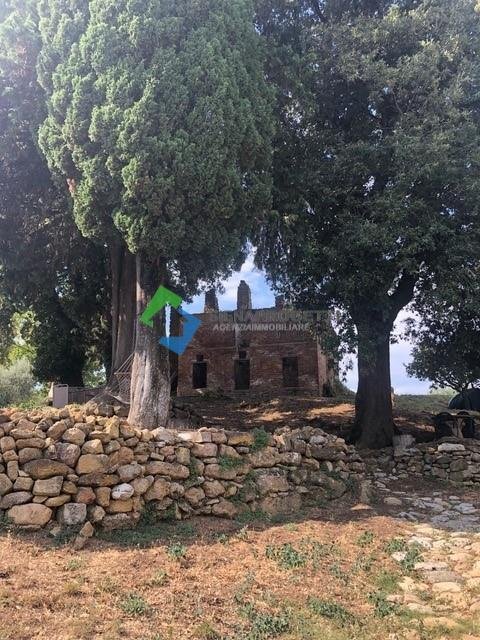 Country House in San Gimignano, Tuscany, Italy 5 - 14848376