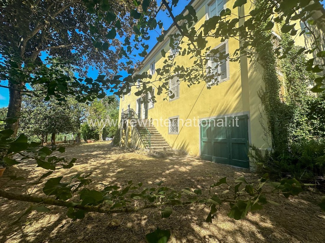 House in San Macario In Piano, Lucca, Tuscany 4 - 14848332
