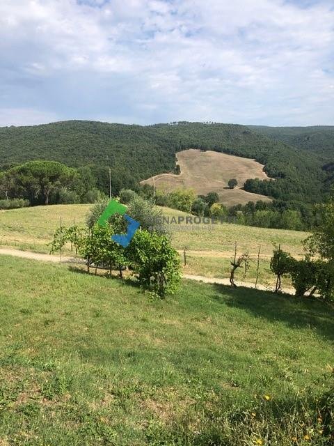 Country House in San Gimignano, Tuscany, Italy 4 - 14848376