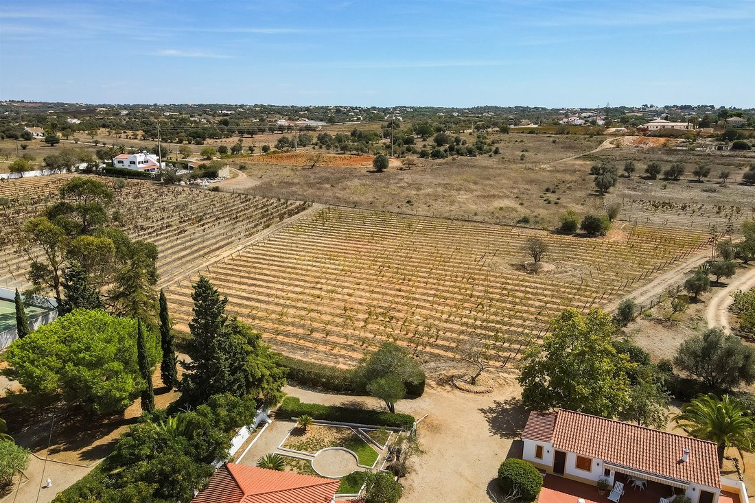 Farm Ranch in Lagoa e Carvoeiro, Algarve, Portugal 5 - 13338758