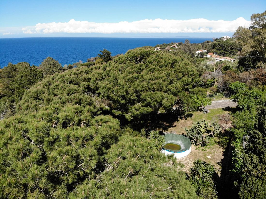 Villa in Italy 5 - 14286822