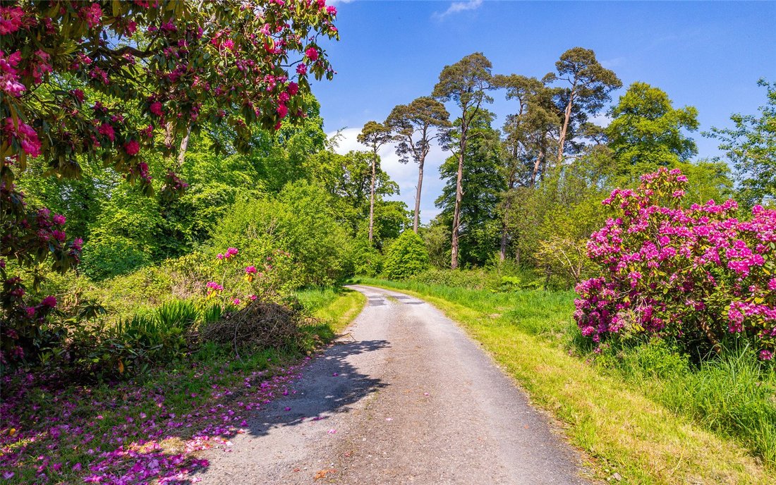 Casa en Portduff, County Cork, Irlanda 4 - 14851117