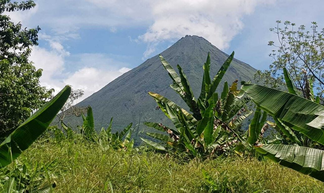 Farm For Sale In La Fortuna, 2.5 In La Fortuna, Alajuela Province